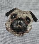 Caras de perros | 2881