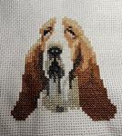 Caras de perros | 2881
