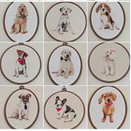 Razas de perro | 2876