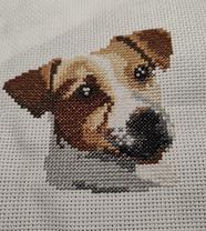 Caras de perros | 2881